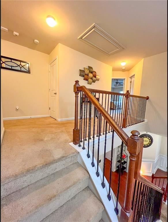 staircase with carpet