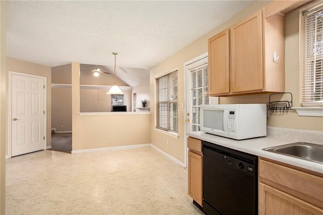 4103 Kingship Dr, Ellenwood, GA 30294 - kitchen with dishwasher, white microwave, light brown cabinets, light flooring, and lofted ceiling