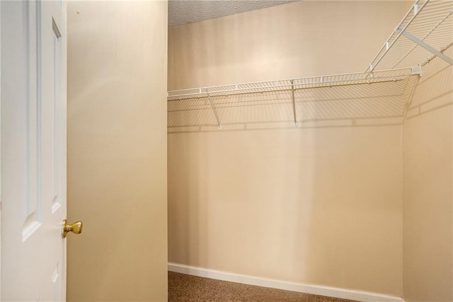 4103 Kingship Dr, Ellenwood, GA 30294 - view of walk in closet