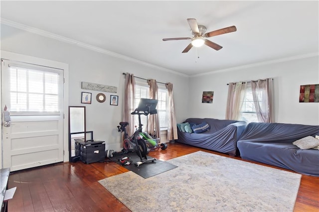 workout room with dark wood-type flooring, ceiling fan, and crown molding