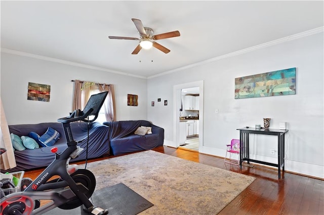 workout area featuring hardwood / wood-style floors, a ceiling fan, and ornamental molding