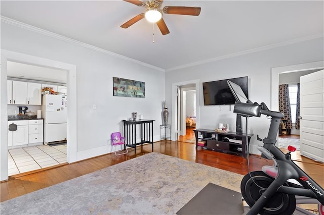 exercise room featuring ceiling fan, ornamental molding, and light wood finished floors