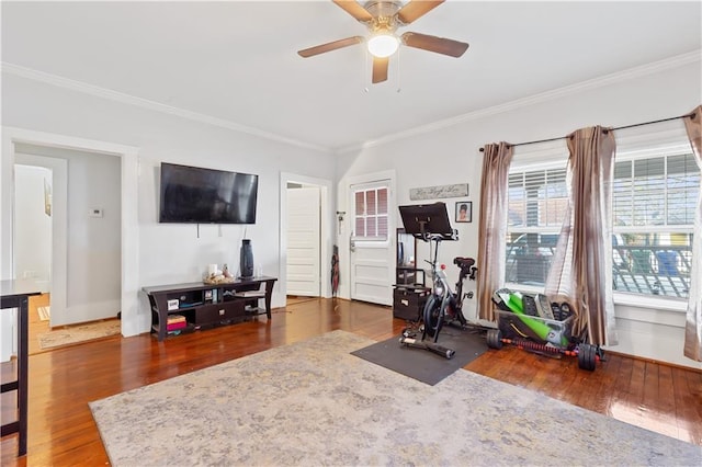 exercise room featuring baseboards, crown molding, ceiling fan, and wood finished floors