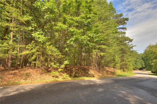 2902 Meadowbrook Rdg, Big Canoe GA, 30143 land for sale