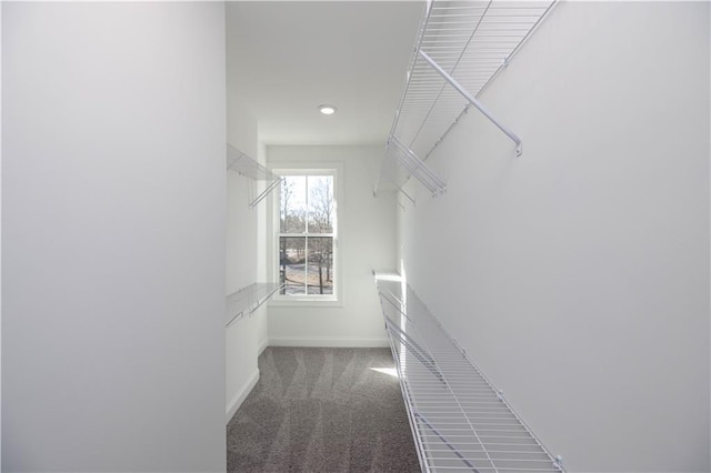 350 Olmstead Way Unit 29, Alpharetta, GA 30022 - spacious closet with carpet floors