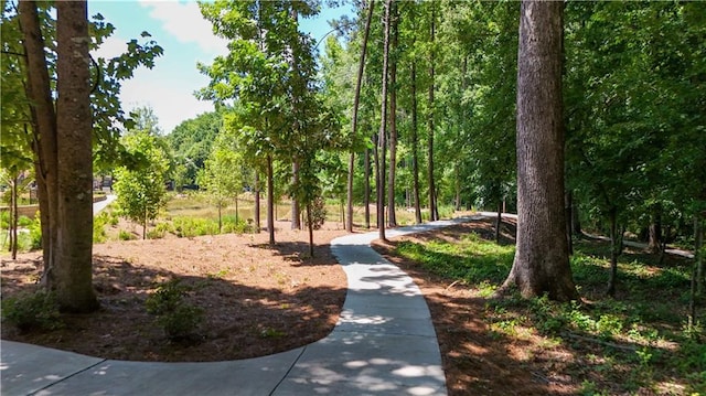 350 Olmstead Way Unit 29, Alpharetta, GA 30022 - view of community