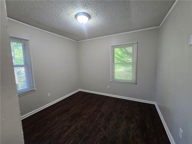 spare room featuring crown molding, dark wood-type flooring, and a textured ceiling