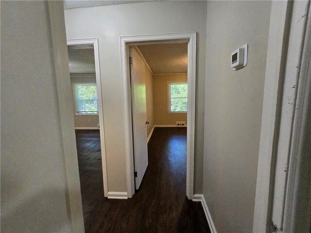 hall featuring dark hardwood / wood-style flooring and a healthy amount of sunlight