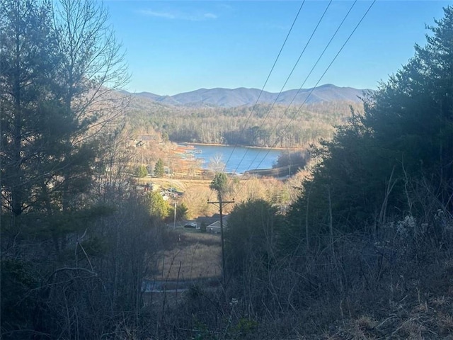 Listing photo 2 for LOT40 Overlook Trl, Hiawassee GA 30546