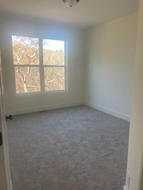 empty room with carpet flooring, a healthy amount of sunlight, and baseboards