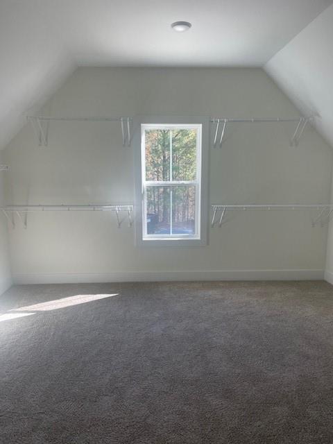 bonus room featuring baseboards, carpet floors, and vaulted ceiling