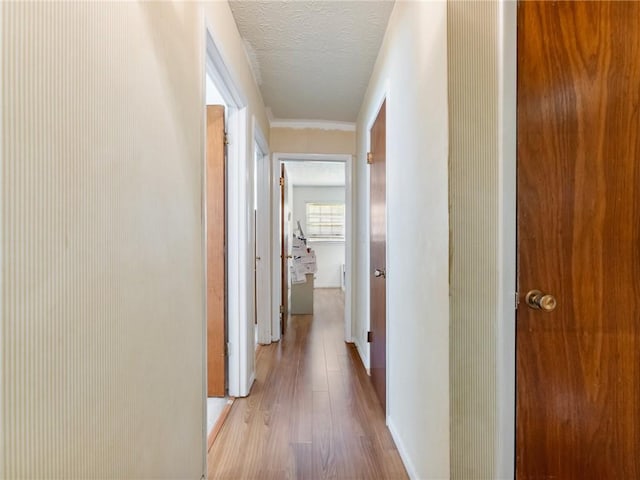 784 San Miguel Dr, Stone Mountain, GA 30083 - hall with light wood-style flooring and a textured ceiling
