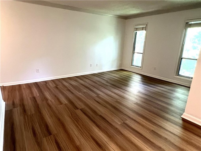 empty room featuring a healthy amount of sunlight and dark hardwood / wood-style floors