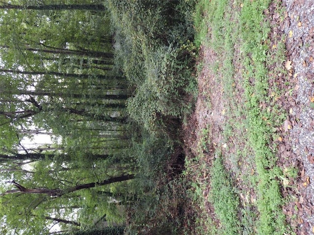 0 Capri, Cumming, GA 30041