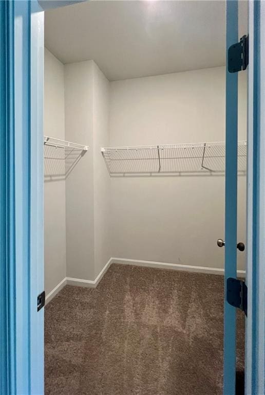 spacious closet featuring dark colored carpet