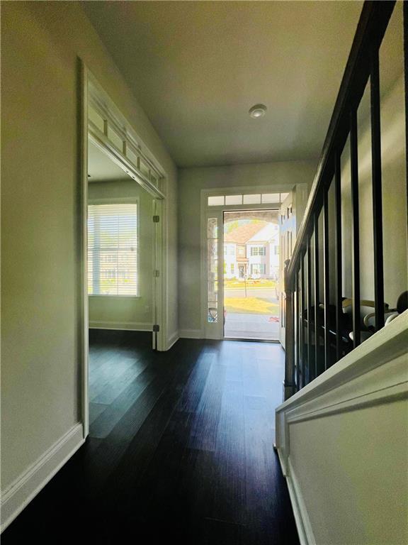 foyer with a wealth of natural light and dark hardwood / wood-style flooring