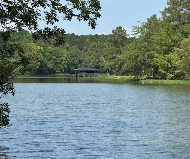 Listing photo 2 for 0 Maverick Dr, Ashville AL 35953