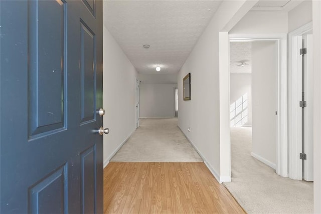 2428 Buena Vista Cir, Gainesville, GA 30504 - hall featuring a textured ceiling, light wood finished floors, baseboards, and light carpet
