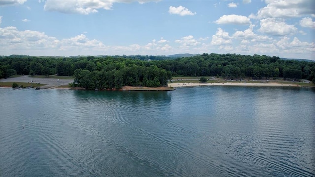 view of water feature with a view of trees