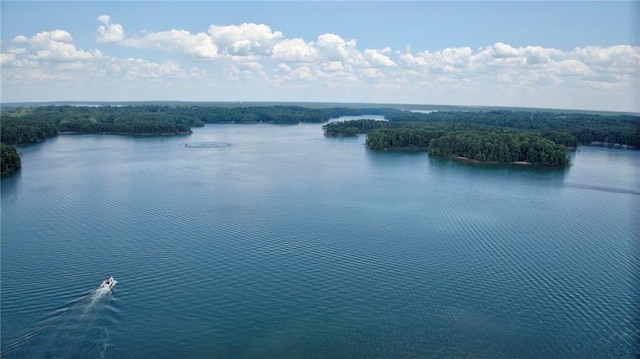 property view of water with a wooded view
