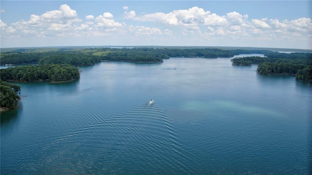 property view of water featuring a forest view