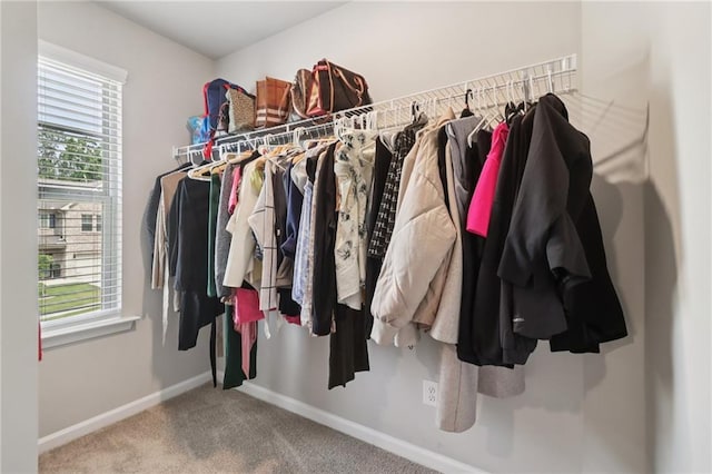 4172 Cedar Commons Way, Conley, GA 30288 - spacious closet with carpet