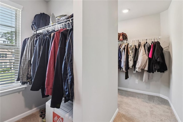 4172 Cedar Commons Way, Conley, GA 30288 - walk in closet with carpet floors