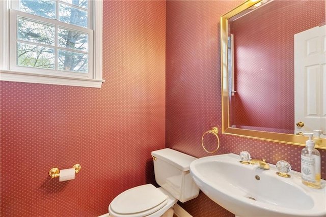 bathroom featuring sink and toilet