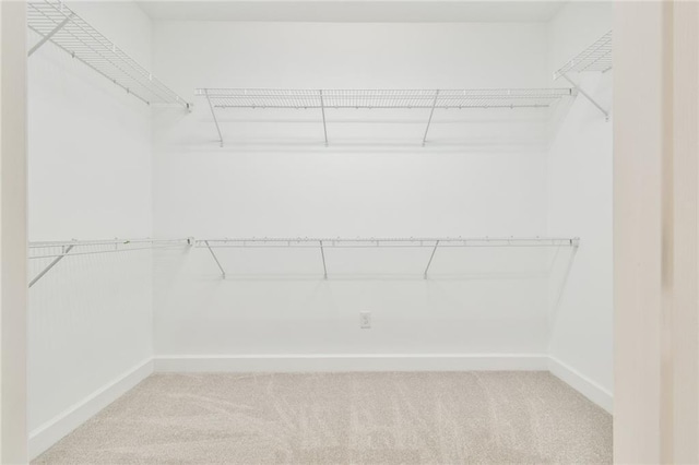 6714 Amherst Dr, Hoschton, GA 30548 - walk in closet featuring carpet floors