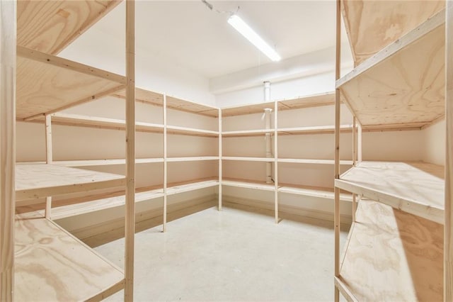 6714 Amherst Dr, Hoschton, GA 30548 - view of storage