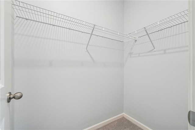 31 Mccall Way, Monroe, GA 30655 - spacious closet with carpet floors