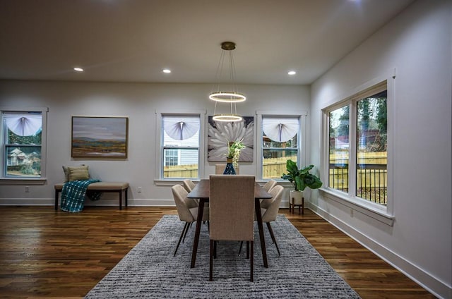 dining room featuring dark wood-type flooring