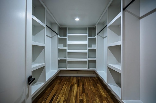 spacious closet featuring dark hardwood / wood-style flooring