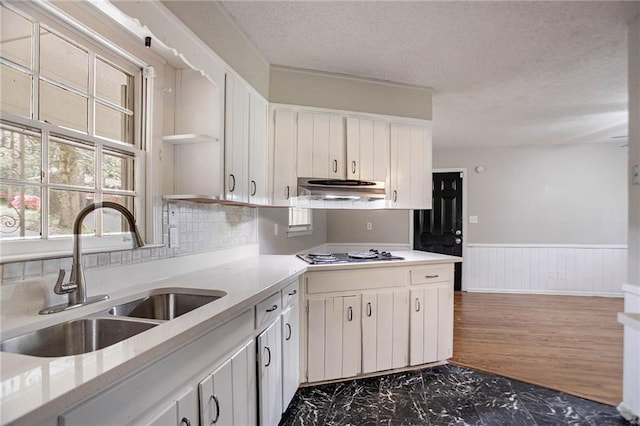 1753 Dodson Dr SW, Atlanta, GA 30311 - kitchen featuring a sink, ventilation hood, light countertops, wainscoting, and stovetop