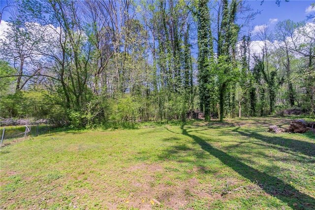 1753 Dodson Dr SW, Atlanta, GA 30311 - view of yard