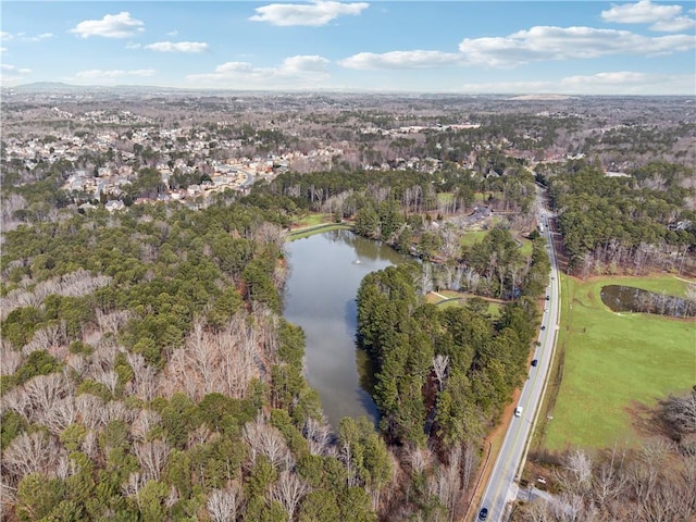 4492 Arbor Crest Ct, Suwanee, GA 30024 - aerial view of property's location with a large body of water