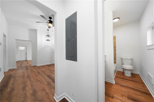 hallway featuring electric panel and dark wood-type flooring