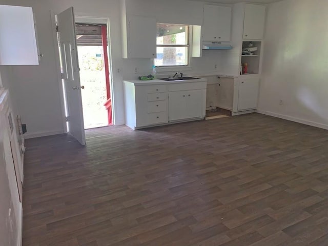 kitchen with sink, dark hardwood / wood-style floors, and a healthy amount of sunlight