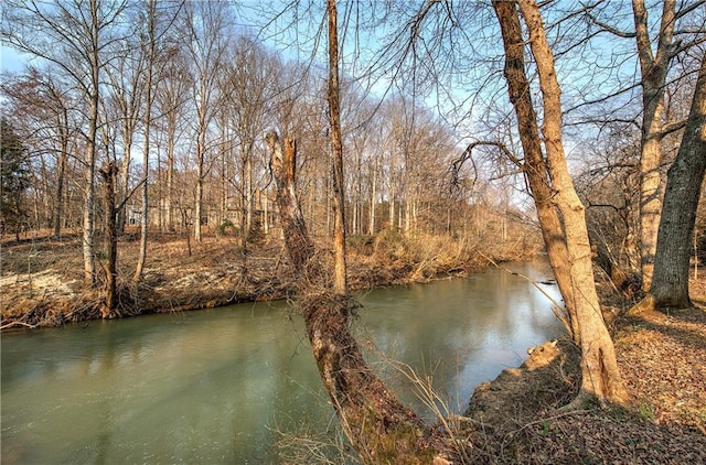 view of water feature with a view of trees