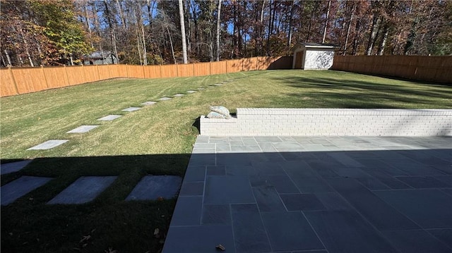 view of yard with a patio area and a storage unit