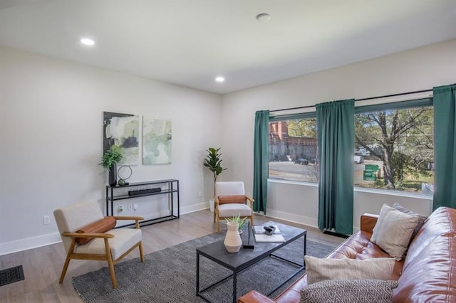 living room with wood-type flooring