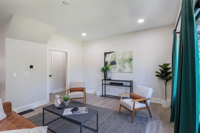 living room featuring hardwood / wood-style flooring