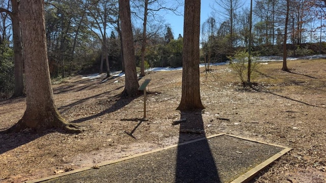 view of yard featuring a water view