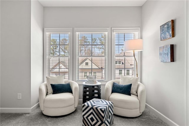 234 Retreat Ln, Canton, GA 30114 - sitting room with carpet and baseboards