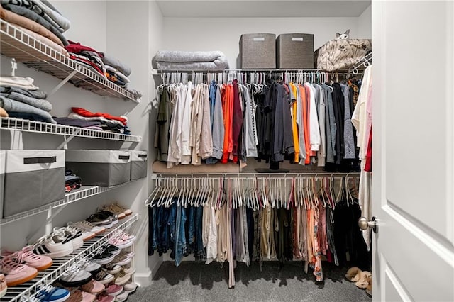 234 Retreat Ln, Canton, GA 30114 - spacious closet with carpet floors