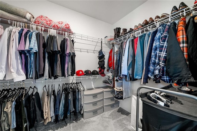 234 Retreat Ln, Canton, GA 30114 - spacious closet with carpet floors
