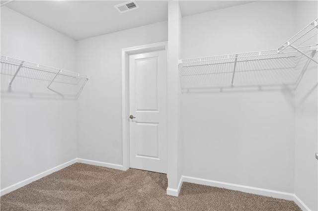 spacious closet with carpet