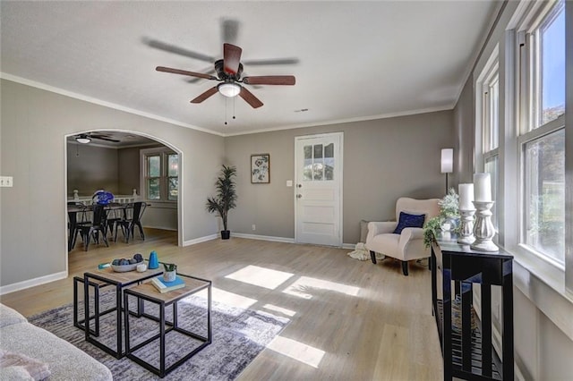 living room with ornamental molding, ceiling fan, and light wood-type flooring