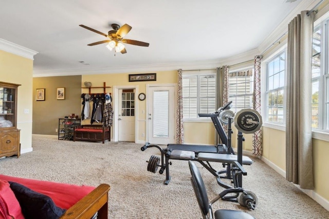 workout room featuring carpet flooring, a ceiling fan, crown molding, and baseboards
