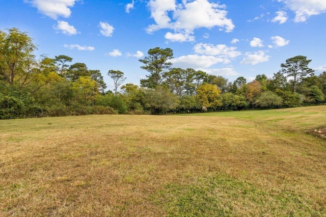 view of yard with a forest view